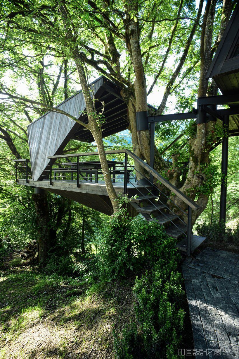 shaygan gostar designs treehouse in iran to evoke natural branch lines